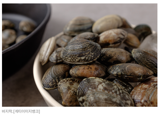 스크린샷 2026-05-18 091027.png
