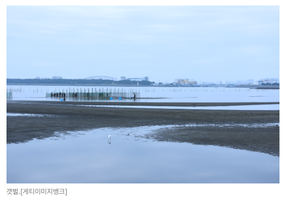 스크린샷 2026-05-18 105440.png