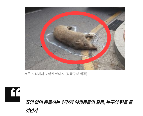스크린샷 2026-05-18 110501.png