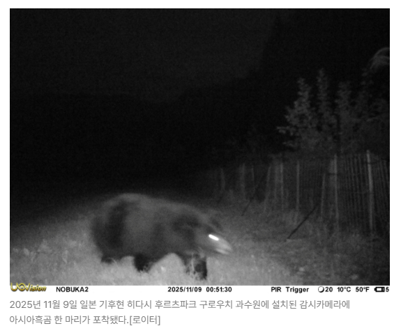 스크린샷 2026-05-18 110610.png