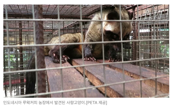 스크린샷 2026-05-18 110617.png