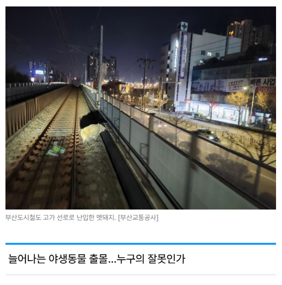 스크린샷 2026-05-18 110628.png