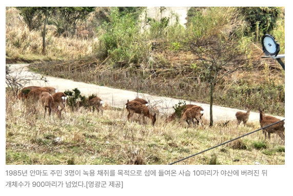 스크린샷 2026-05-18 110635.png