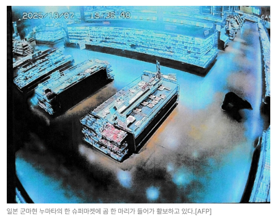 스크린샷 2026-05-18 110640.png