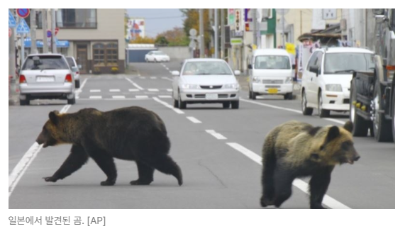 스크린샷 2026-05-18 110646.png