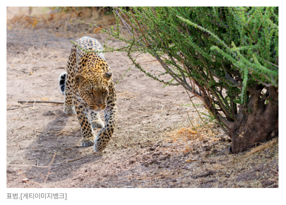 스크린샷 2026-05-18 110651.png