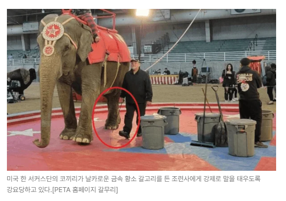 스크린샷 2026-05-18 110700.png