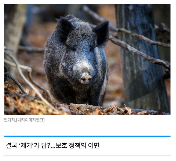 스크린샷 2026-05-18 110714.png