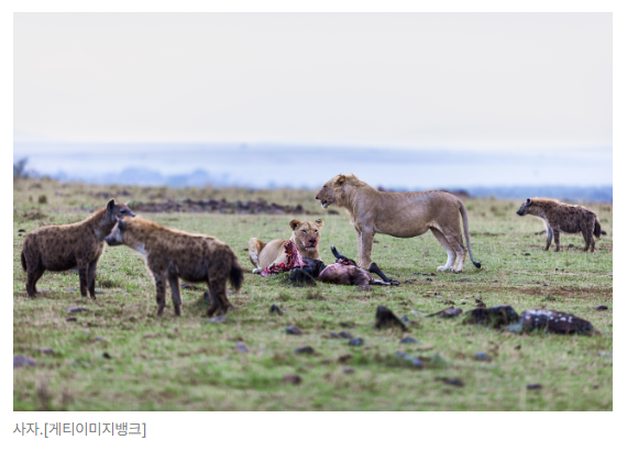 스크린샷 2026-05-18 110727.png