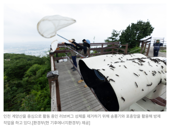스크린샷 2026-05-18 133050.png