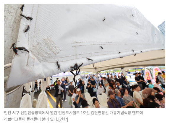스크린샷 2026-05-18 133106.png