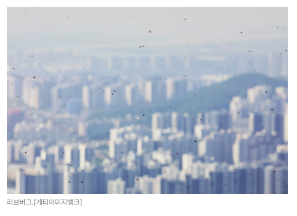 스크린샷 2026-05-18 133112.png