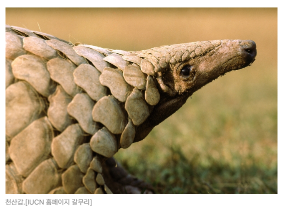 스크린샷 2026-05-18 145528.png