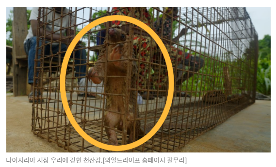 스크린샷 2026-05-18 145549.png
