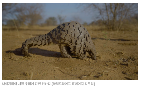 스크린샷 2026-05-18 145554.png