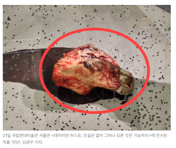 스크린샷 2026-05-18 150702.png