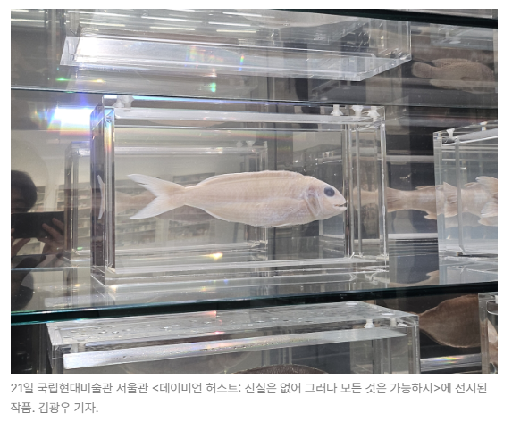 스크린샷 2026-05-18 150722.png