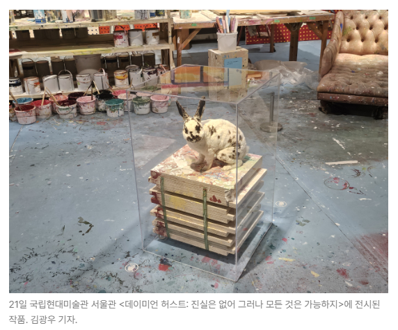 스크린샷 2026-05-18 150732.png