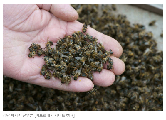 스크린샷 2026-05-18 151216.png