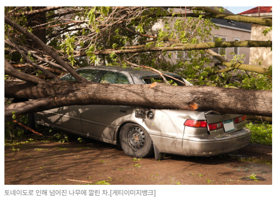 스크린샷 2026-05-18 151938.png