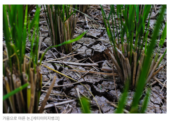 스크린샷 2026-05-18 152009.png