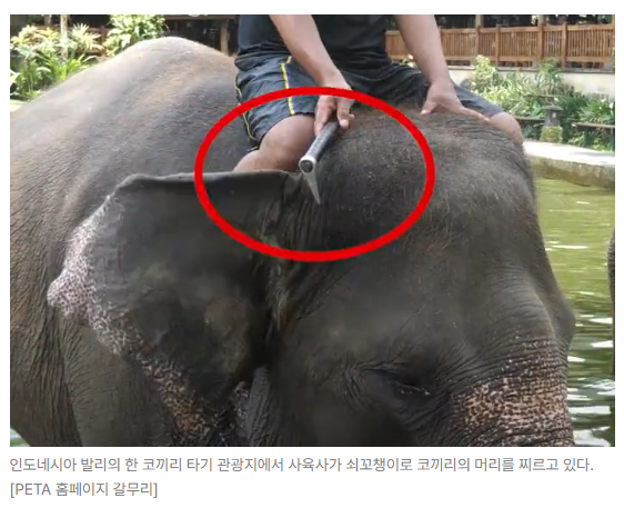 스크린샷 2026-05-18 152958.png