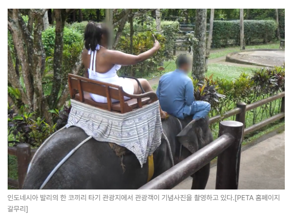 스크린샷 2026-05-18 153003.png