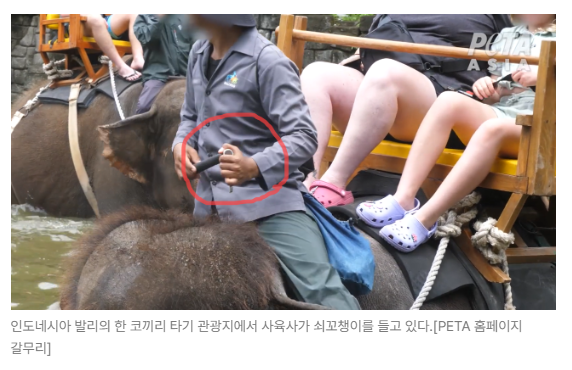 스크린샷 2026-05-18 153016.png