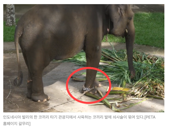 스크린샷 2026-05-18 153020.png