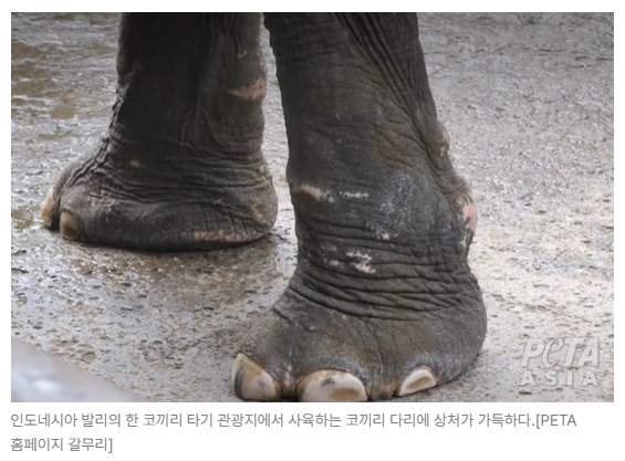 스크린샷 2026-05-18 153026.png