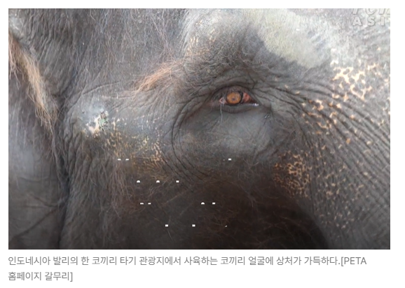 스크린샷 2026-05-18 153305.png