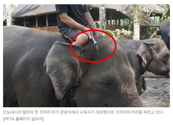 스크린샷 2026-05-18 153310.png