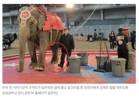 스크린샷 2026-05-18 153314.png