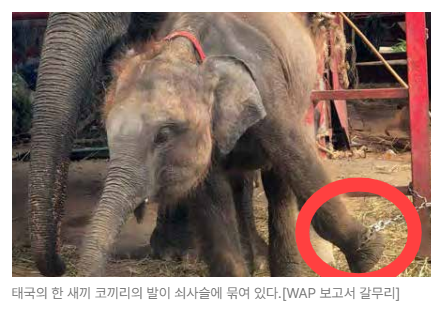 스크린샷 2026-05-18 153319.png