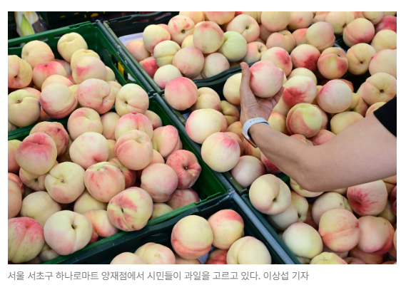 스크린샷 2026-05-19 091021.png
