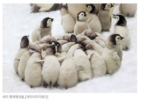 스크린샷 2026-05-19 091443.png