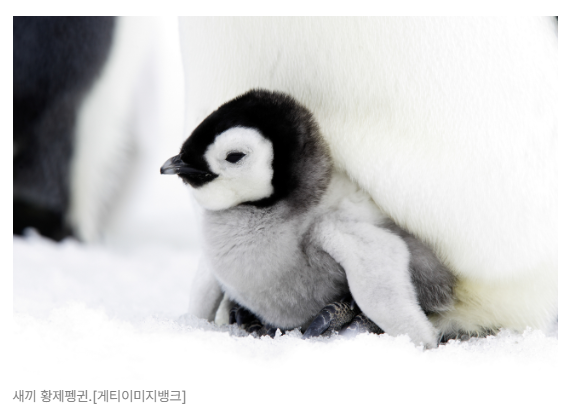 스크린샷 2026-05-19 091449.png