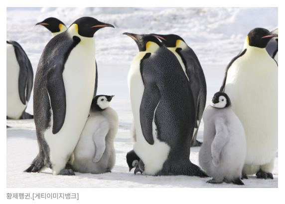 스크린샷 2026-05-19 091456.png