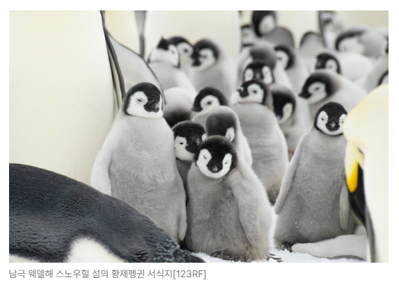 스크린샷 2026-05-19 091503.png