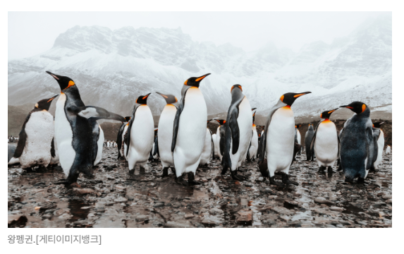 스크린샷 2026-05-19 091509.png