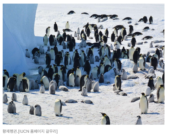 스크린샷 2026-05-19 091514.png