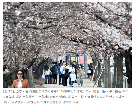 스크린샷 2026-05-19 141839.png