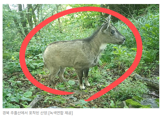 스크린샷 2026-05-19 142747.png