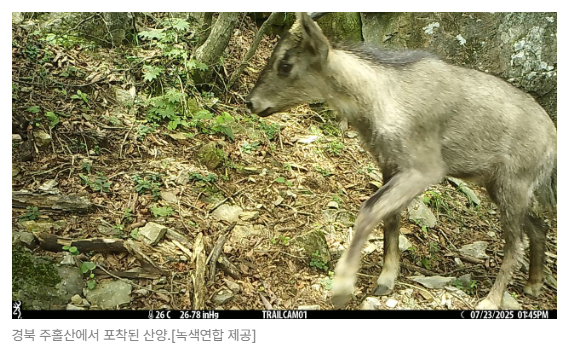 스크린샷 2026-05-19 142753.png