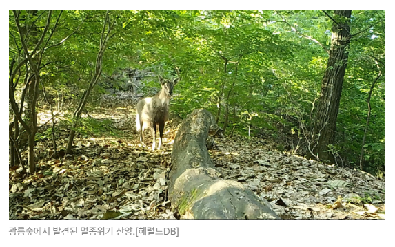 스크린샷 2026-05-19 142805.png