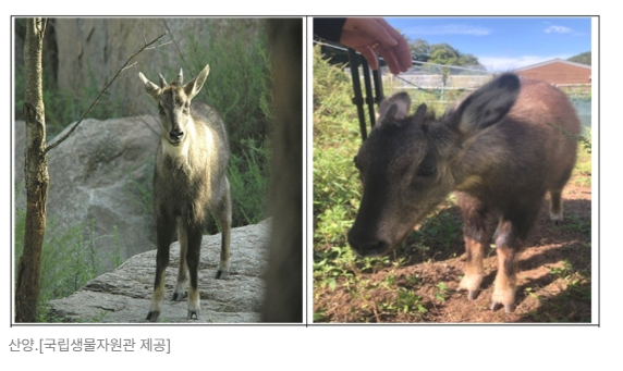 스크린샷 2026-05-19 142811.png