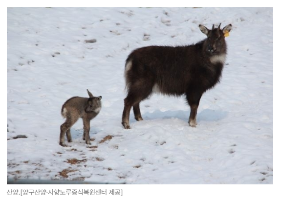 스크린샷 2026-05-19 142818.png