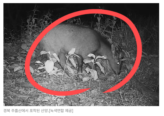 스크린샷 2026-05-19 142842.png