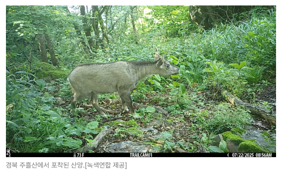 스크린샷 2026-05-19 142847.png