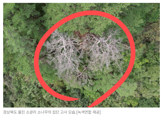 스크린샷 2026-05-19 144857.png
